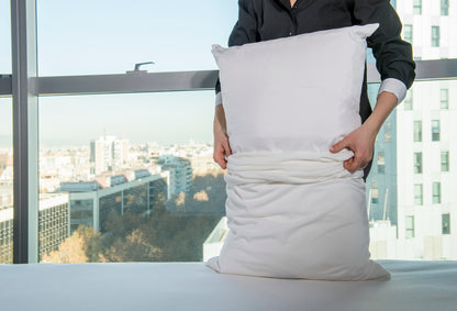 Tencel Pillow Protector